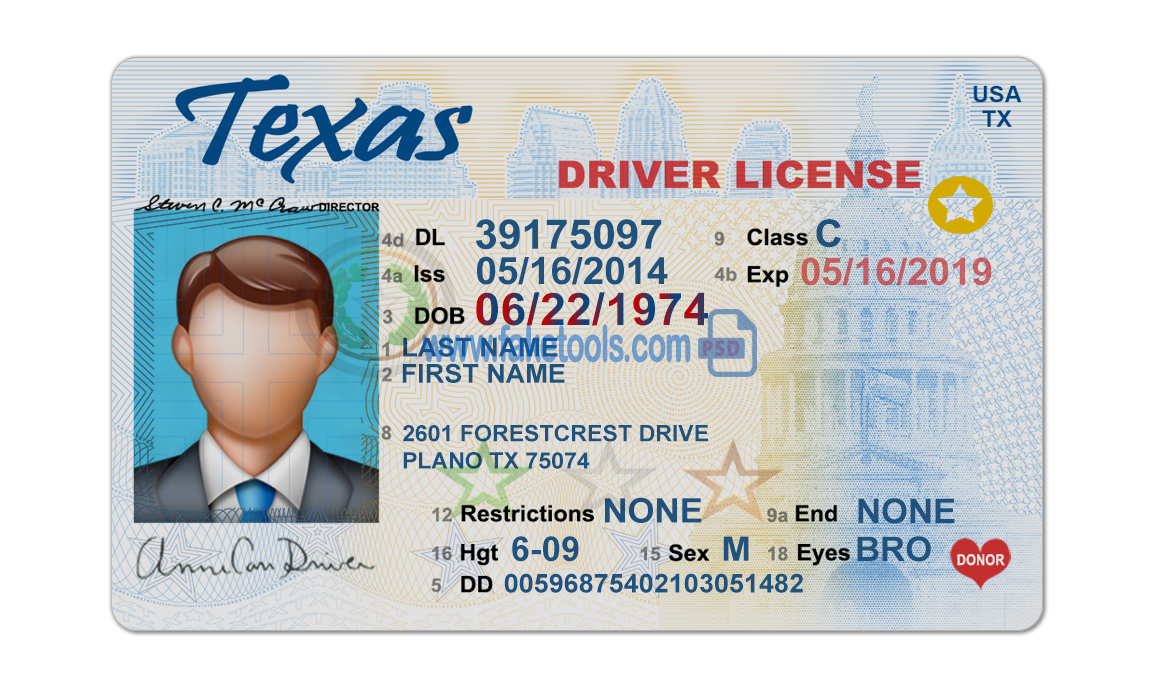 blank drivers license template