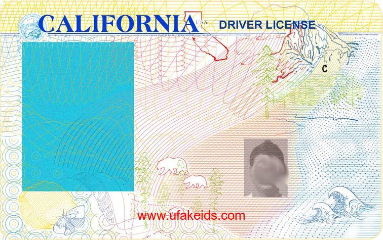 blank drivers license template